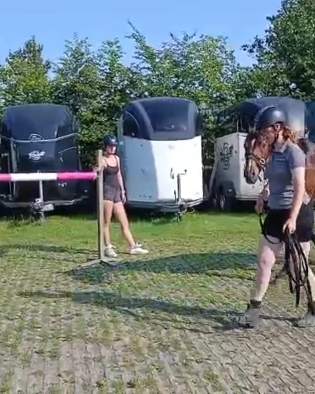 Wat een mooie ochtend was dit twee weken geleden met de meiden van Lentiz! 🐴
@lentizmbohippischeopleidingen 

Zij gingen samen met Annemarie aan de slag met Edison, die het trailerladen nog best spannend vond. Met veel geduld en rust boekte hij prachtige vooruitgang. Als kers op de taart liep Edison uiteindelijk zelfs zelfstandig de trailer op! 💪

Supergoed gedaan allemaal. Op naar de volgende uitdaging! ✨