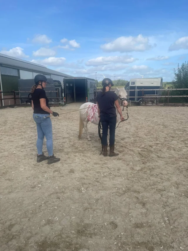 Wat een leuke start van Niveau 2! 🐴✨

Afgelopen weekend kwam onze volle Niveau 2-groep voor het eerst samen voor het eerste lesweekend. Dit keer waren we te gast bij Hippisch Centrum Voorne aan Zee  in Vierpolders.

Tijdens de praktijk werd er gewerkt met verschillende paarden. Een aantal paarden kwam speciaal van buitenaf naar de locatie en daarnaast mochten we werken met paarden van pensionklanten.

Wat een gezellig én leerzaam eerste weekend! Een mooie start van deze Niveau 2-groep! 💚

 #paardenliefde #opleiding #paardrijden #vertrouwen #paardentraining #paardenkennis #paardengedrag #horsemanship #paardenwelzijn #grondwerk #paarden #HorseBehavior